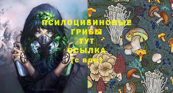 бошки Алексеевка