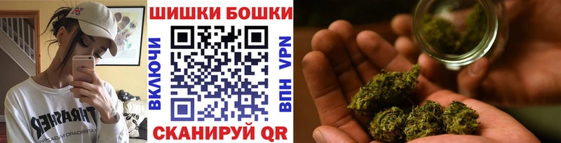 Шишки марихуана ГИДРОПОН  как найти наркотики  Себеж 